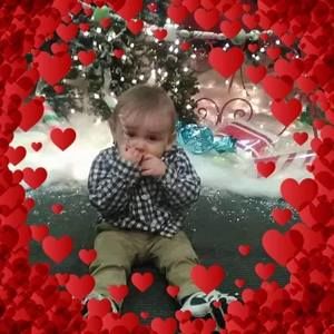 Meet your Posher, Elsie